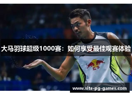 大马羽球超级1000赛：如何享受最佳观赛体验