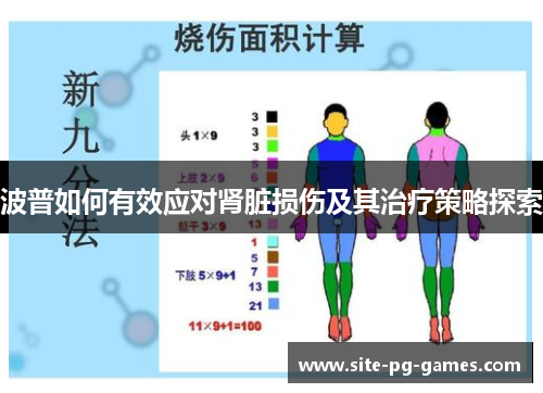 波普如何有效应对肾脏损伤及其治疗策略探索