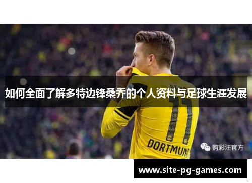 如何全面了解多特边锋桑乔的个人资料与足球生涯发展