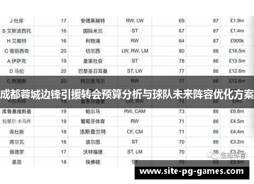 成都蓉城边锋引援转会预算分析与球队未来阵容优化方案